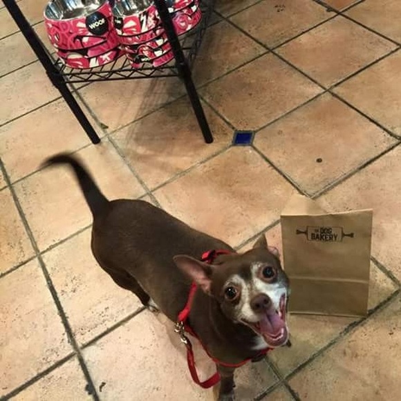 Meet your Posher, Kim - Picture 1 of 1